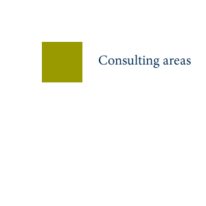 Consulting areas